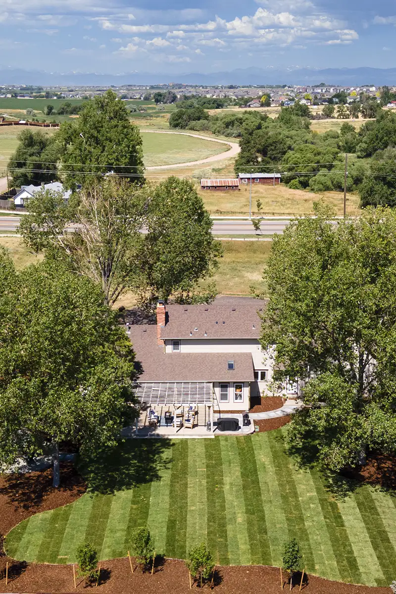 Striped backyard lawn renovation