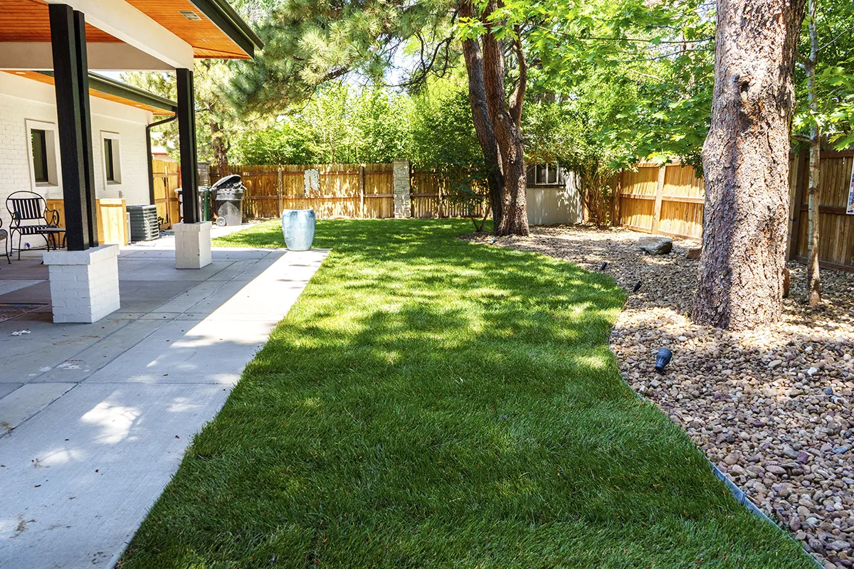 Fresh sod installation