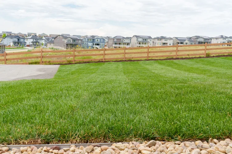New construction lawn