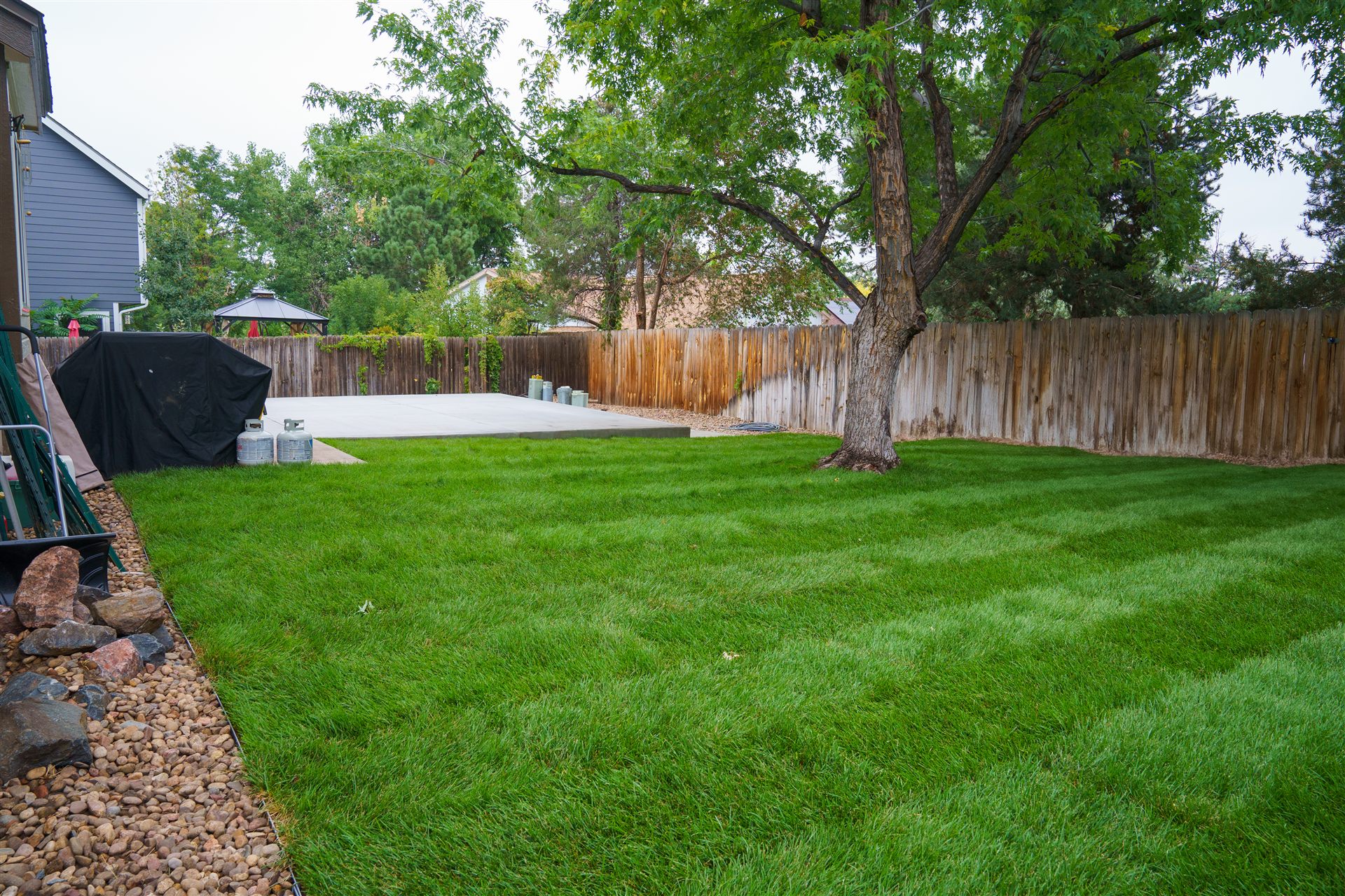 New sod lawn and concrete patio in an Aurora backyard
