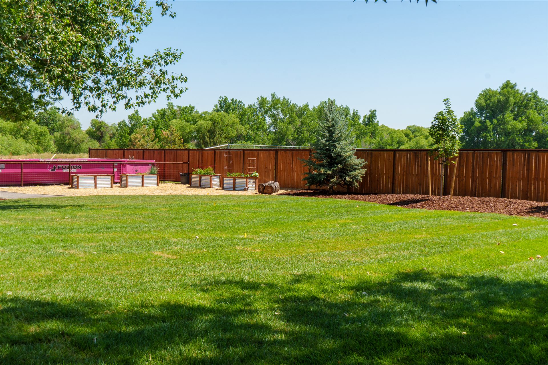 New sod lawn next to a gravel area with raised garden beds