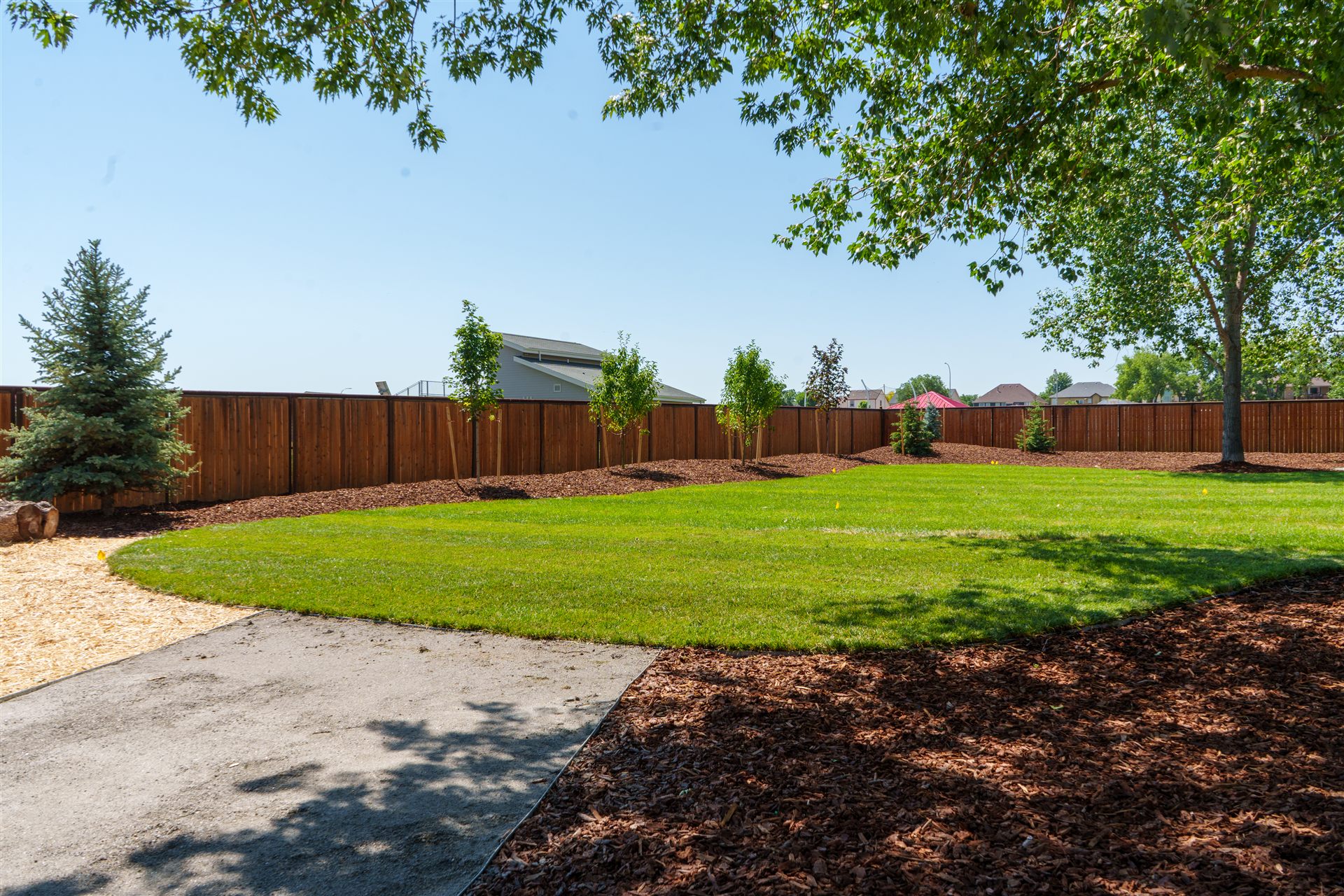 Fresh sod lawn with mulch beds and newly planted trees