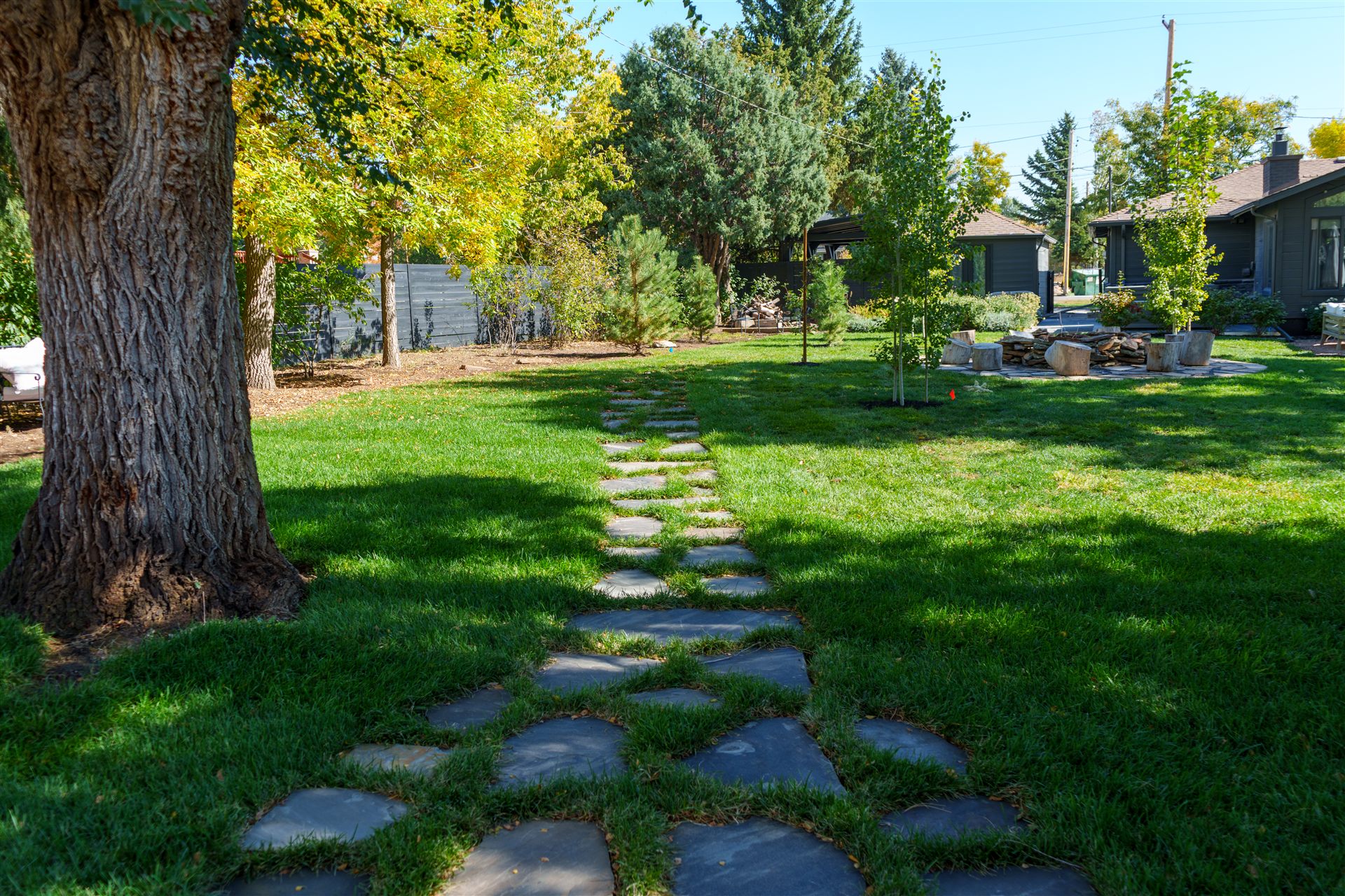 Natural stepping stones set in a lawn under a mature tree