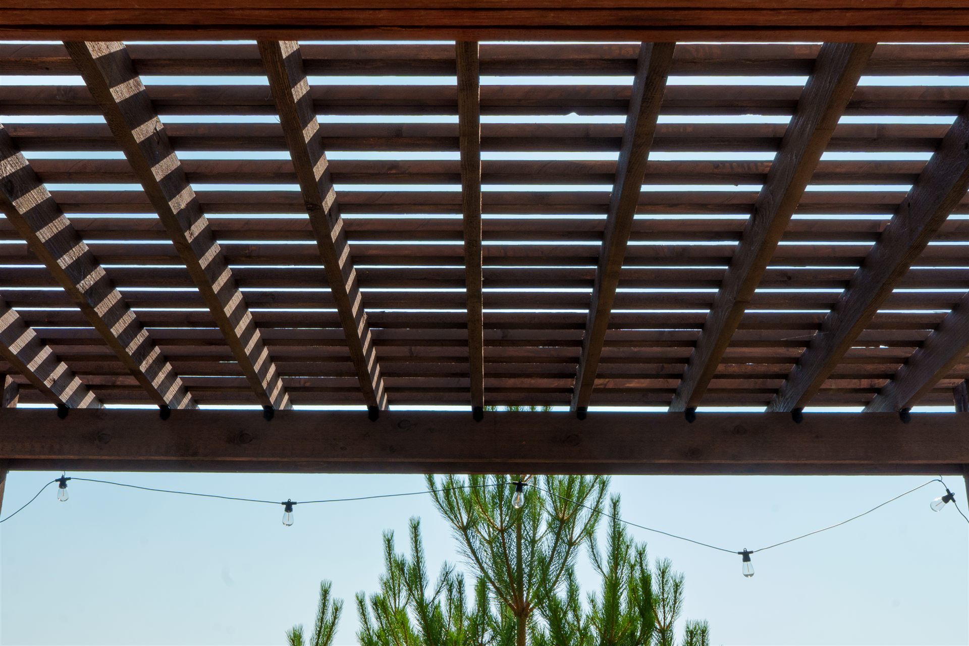 Looking up at the slatted roof of a wood pergola